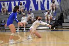 Volleyball vs RWU  Wheaton Women’s Volleyball vs Roger Williams University. : Volleyball, VB